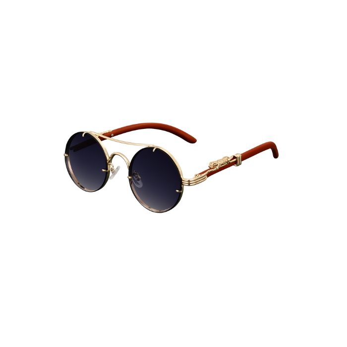 Retro Steampunk Sunnies
