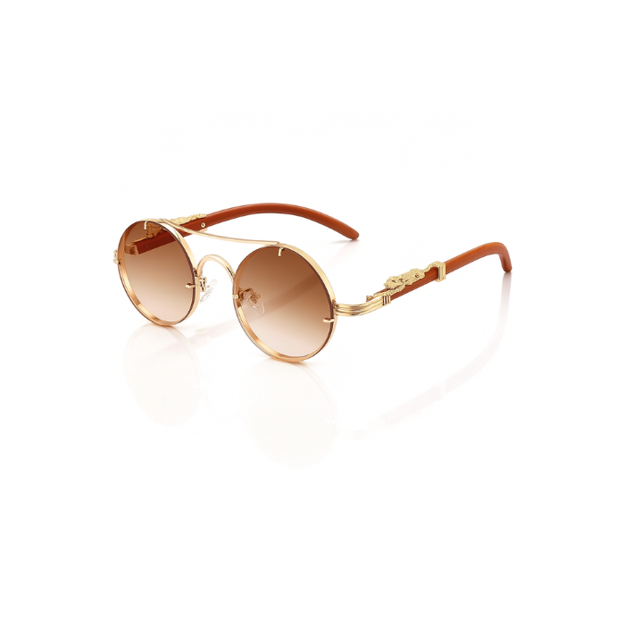 Retro Steampunk Sunnies