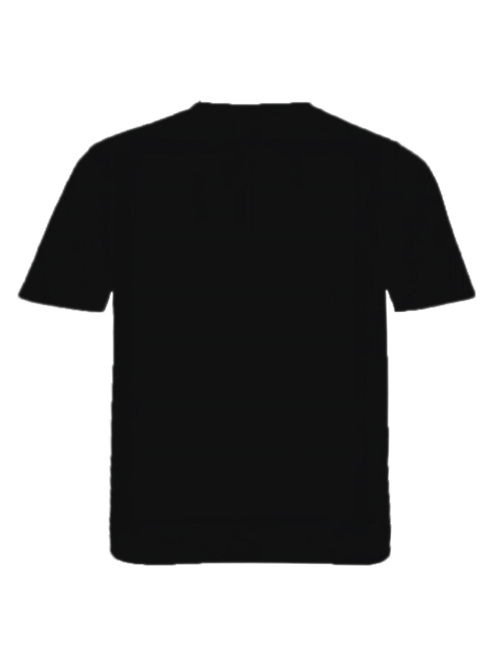 Printed Slogan T-Shirt for Men