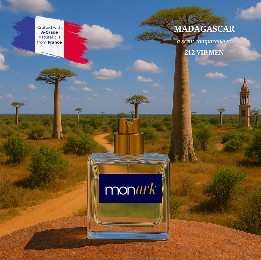 Madagascar - a scent similar to 212 VIP Men